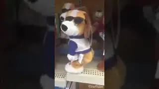 🐕esse dan&ccedil;aa