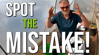 Can You Spot My Mistake | Allotment Gardening With Tony