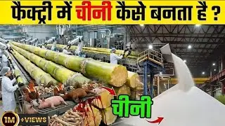 हम रोज खाते हैं&hellip; लेकिन चीनी कैसे बनती है?