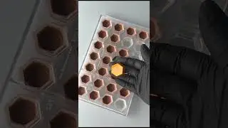 COMO HACER BOMBONES DE CHOCOLATE PARA VENDER 😀 / VENTA SEGURA 🔥/ PASO A PASO / curso en l&iacute;nea