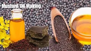 Mustard Oil Making Manufacturing Process sarson ka tel Shop Karachi
