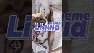 liquid cats: the &ldquo;nobel prize&rdquo;?