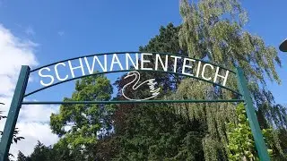 Der Schwanenteich in Norden