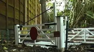 Wilmslow & Lindow Light Railway summer 2011.  A 16mm garden railway (Full version)