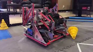 2018 6842Z PigPen Worlds Reveal