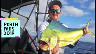 Mahi Mahi On Stick Baits Dolphin Fish At Perth Fads