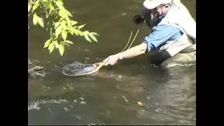 Discover the basics  of Euro nymphing with master Vladi  Part One  the basic Euro cast and movement.
