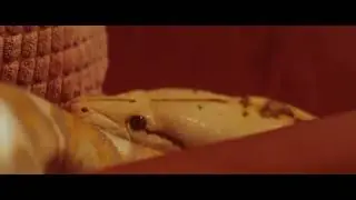 python shorts video