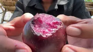 ASMR Comiendo Caimitos 🍇🫐ASMR para dormir