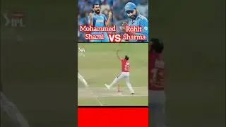 Mohammed Shami vs Rohit Sharma#viral #shorts #cricket update #cricket highlight #cricket