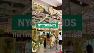 🔊 NYC Sounds: Prospect Park Carousel 🎠