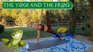 The Yogi and the Frog - Challenging Vinyasa Flow