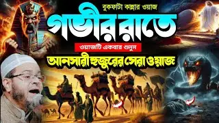 আনসারি হুজুরের সেরা ওয়াজ | Best Islamic Waz by Ansari Huzur | Mafil Media S 24 | Bayan Bangla