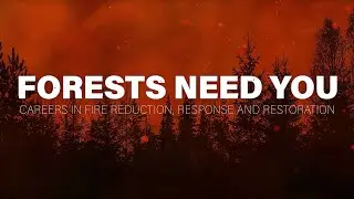 Forests Need You: Careers in Fire Reduction, Response, and Restoration