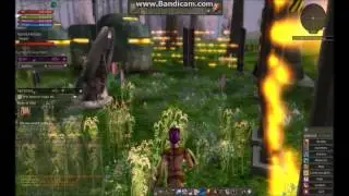 Ryzom Ep 2: Magic