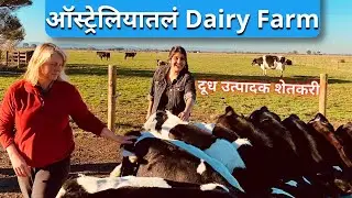 FARM VLOG | शेतकऱ्याच्या शेतातून खास व्हिडीओ | शेतकऱ्याला दुधाला किती दर मिळतो | Harshada Swakul