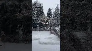 #winter #winter2026 #зима #сніг #україна #ukraine