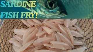 Once You Try This Sardine Fish Fry, You'll Love It/ Sardine Fish Fry Easy and Quick Recipe/