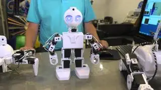 What Can EZ-Robot Do?