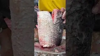 Amazing Big Life Rohu Fish In ghazipur Fish Market Delhi #shortvideo #Govind Puri #rrrm