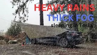 Tesla Car Camping - Rocky Road up Mountain - Heavy Rains - Thick Fog and Alone with my Dog