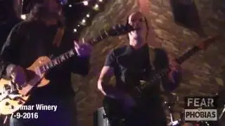 Fear Of Phobias Lorimar Winery Highlights  HD