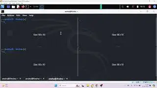 Most Important Kali Linux