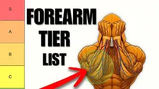 Forearm Exercises Tier List | Best & Worst Workout for Bigger Forearms