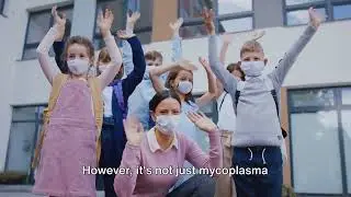 The Mystery Pneumonia