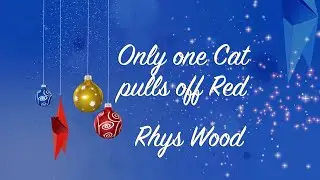 Only one Cat pulls off red (Lyric Video) - Rhys Wood