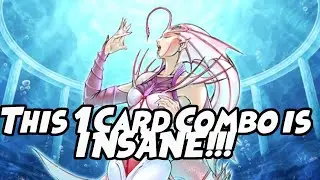 Mermail Deep Sea Diva Combos!