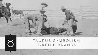 Cattle Brands