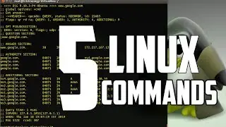 Top 5 Best Linux Commands For Network Administrator