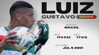 Luiz Gustavo ▪️ Highlights 2024
