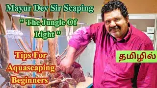 'THE JUNGLE OF LIGHT' Hardscape by Mayur Dev Aquascaper | Tips For Aquascaping Beginners