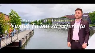 Fernando din Barbulesti - Numai Tu îmi ști suferința