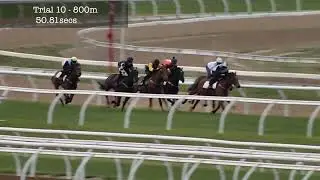 Flemington Jumpouts | 26 September 2014 | Heat 10