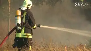 Vermutlich ein Vogel setzt ein riesiges Getreidefeld in Flammen