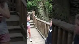 Escape to Bushkill Falls: Pennsylvania's Ultimate Adventure