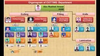 Organogram of Cutting Department