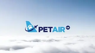 Introducing PetAirUK - Trusted Experts in Global Pet Relocation