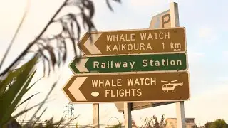 Kaikōura community remains resilient after earthquake and pandemic