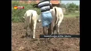 AP Crop loan waiver list in Online