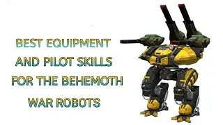 BEHEMOTH BEST EQUIPMENT AND PILOT SKILLS