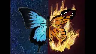 Timelapse Art: Digital Butterfly | Fire and Ice | Procreate Speed Painting