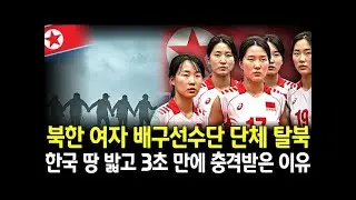 북한 여자 배구선수단 단체 탈북... 한국 땅 밟고 3초 만에 충격받은 이유