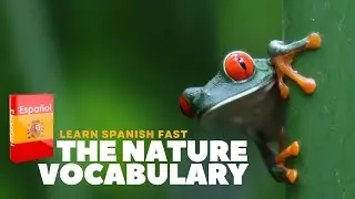 Learn Spanish Vocabulary Fast | Nature Edition