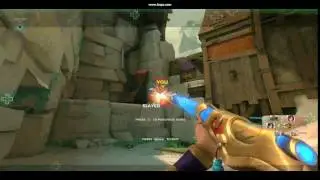 Paladins : aimbot [UselessDay]