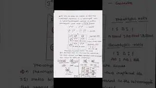 Co-dominance | Over Dominance | Lethal Factor| Notes | Competitive Botany |