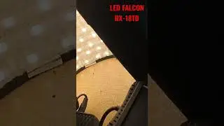 LED FALCON RX-18TD